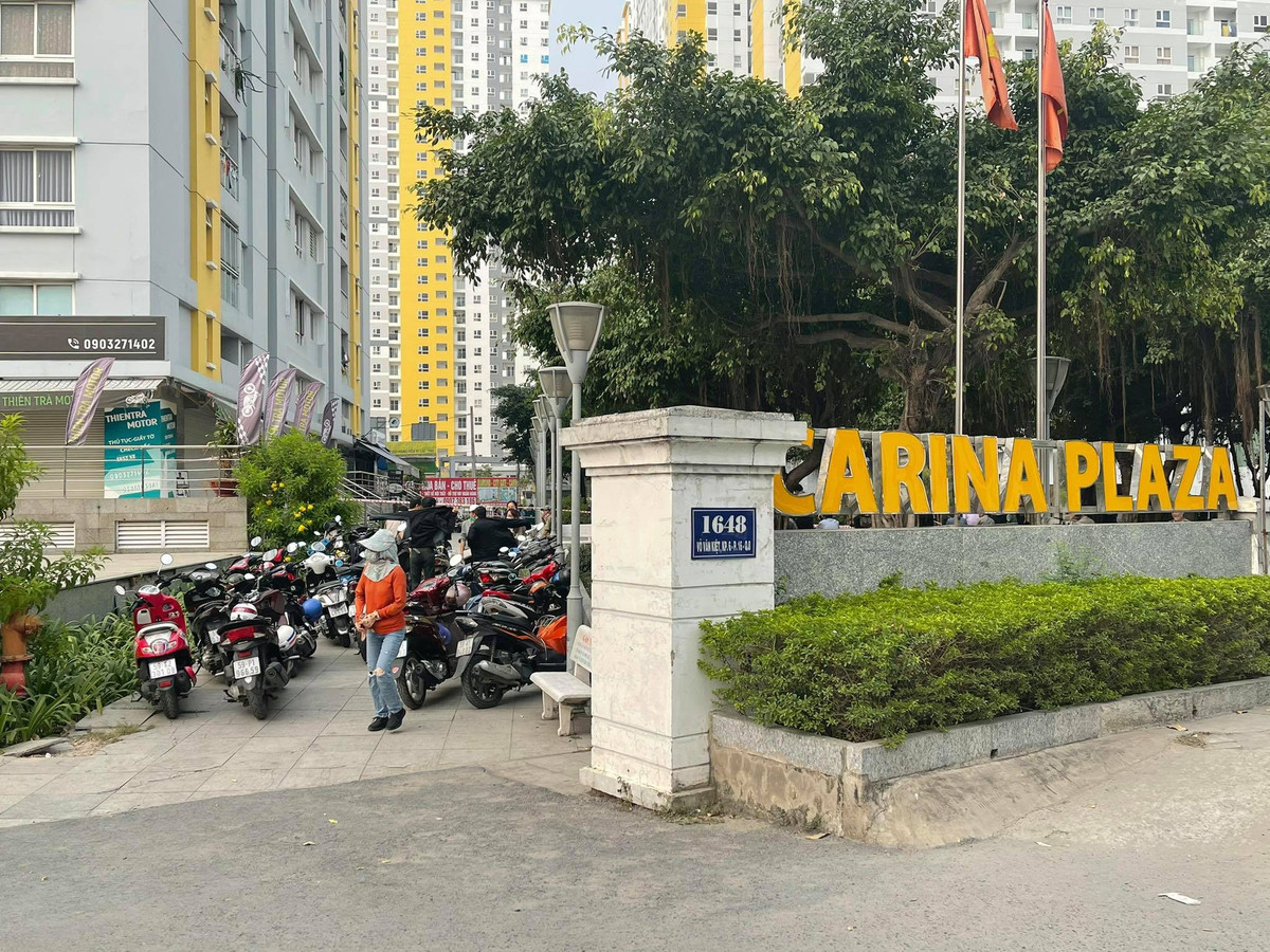 Khám nghiệm hiện trường, trích xuất một số camera an ninh tại chung cư Carina, ghi nhận lời khai nhiều hộ dân lân cận, cơ quan chức năng không phát hiện có dấu hiệu bất thường tại căn hộ ông Du đang ở. Kết quả khám nghiệm tử thi cho thấy nạn nhân tử vong do bị đa chấn thương. Từ những căn cứ thu thập được trong quá trình điều tra ban đầu, cơ quan chức năng nhận định nhiều khả năng ông Du tự tử. 