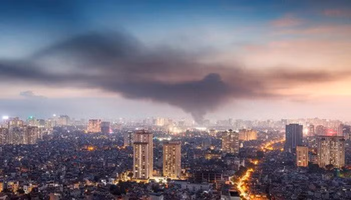 Co ca nghin ty, Rang Dong 