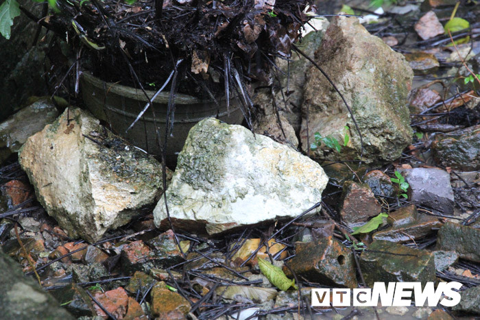 Chuyen ky bi va hai hung quanh ngoi mo nghi cua vua Le o Thanh Hoa-Hinh-5