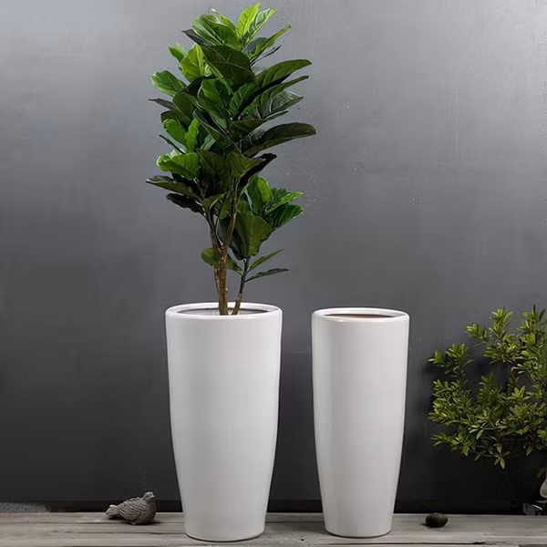 Chậu cao, mảnh: Loại chậu cao, mảnh thường được lựa chọn để trồng các cây xanh cỡ lớn dáng thẳng. Khi trồng trong chậu, nó khiến dáng cây hài hòa, mang lại nhiều vượng khí cho gia chủ. Ảnh: Sohu