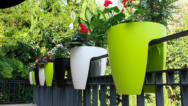 Chậu hình có hình thức đẹp nhưng lại rất ít chỗ cho hoa phát triển. Nhược điểm nữa là chậu thường có lỗ thông hơi nhỏ, nếu không kiểm soát lượng nước tưới dễ gây đầy tràn, làm ố phần bên ngoài của chậu. Ảnh minh họa