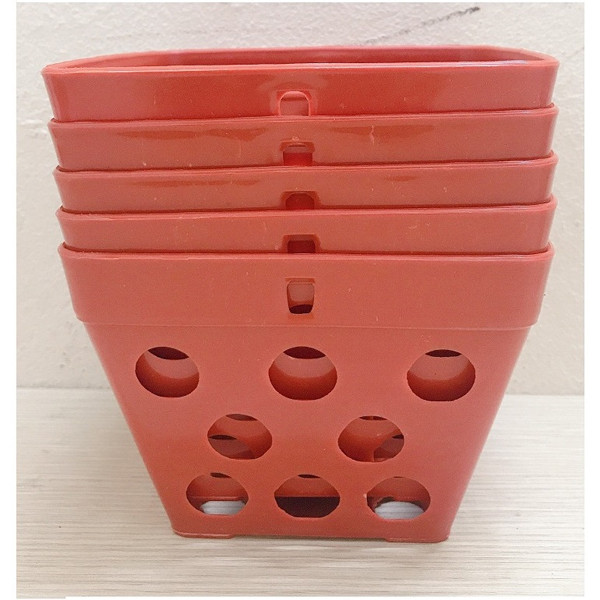 Chọn chúng làm chậu trồng hoa trong nhà sẽ gây bất lợi đến quá trình phát triển. Cụ thể, không khí ở trong nhà khô hơn vườn ươm. Chậu nhựa nhiều lỗ xung quanh khiến nước dễ bị thoát ra ngoài, gây thiếu nước cho cây. Ảnh minh họa