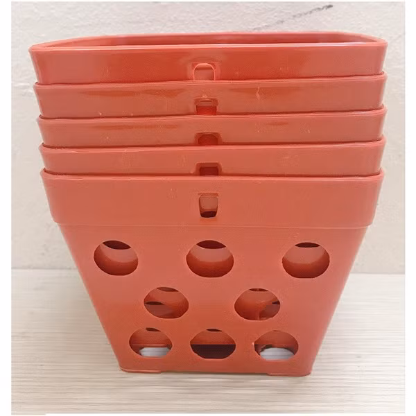 Chọn chúng làm chậu trồng hoa trong nhà sẽ gây bất lợi đến quá trình phát triển. Cụ thể, không khí ở trong nhà khô hơn vườn ươm. Chậu nhựa nhiều lỗ xung quanh khiến nước dễ bị thoát ra ngoài, gây thiếu nước cho cây. Ảnh minh họa