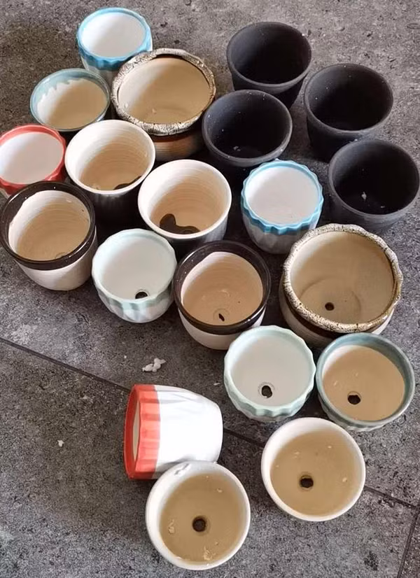 Đặc điểm của loại chậu này là bên ngoài được tráng một lớp men dày và phần đáy lỗ thoát nước cũng không lớn. Trồng cây vào đây, tưới nước sẽ khó thấm ra ngoài. Lỗ thoát nước nhỏ nên cũng không hỗ trợ được nhiều. Nếu không biết kiểm soát lượng nước, trồng cây không chết cũng còi cọc do bị úng rễ. Ảnh: Sohu