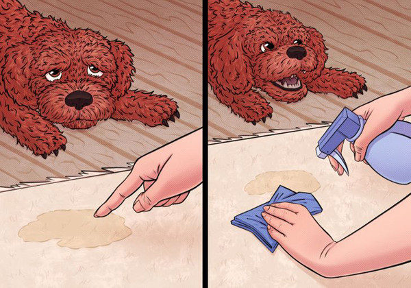 Khử mùi vật nuôi trên thảm bằng giấm trắng: Thay vì sử dụng hóa chất tẩy rửa mạnh, bạn có thể dùng giấm để loại bỏ mùi hôi do thú nuôi để lại trên thảm. Trước tiên, bạn dùng khăn giấy loại bỏ chất thải rồi dùng dung dịch giấm trắng và nước theo tỷ lệ 1:1 xịt lên trên. Lặp lại như vậy cho đến khi vết bẩn biến mất.