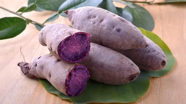 Đặc biệt, khoai lang là thực phẩm ít chất béo, ít calo, nhiều chất xơ. Nếu ăn thường xuyên góp phần làm tăng nhu động đường tiêu hóa, thúc đẩy bài tiết chất độc ra khỏi cơ thể. Từ đó, ngăn chặn sự tích tụ độc tố trong cơ thể, ngăn ngừa tế bào ung thư.