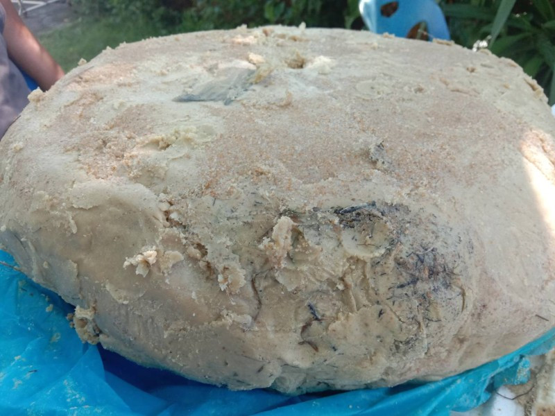 Người đàn ông 66 tuổi đi dạo trên bờ biển và phát hiện một khối đá có mùi hôi thối.