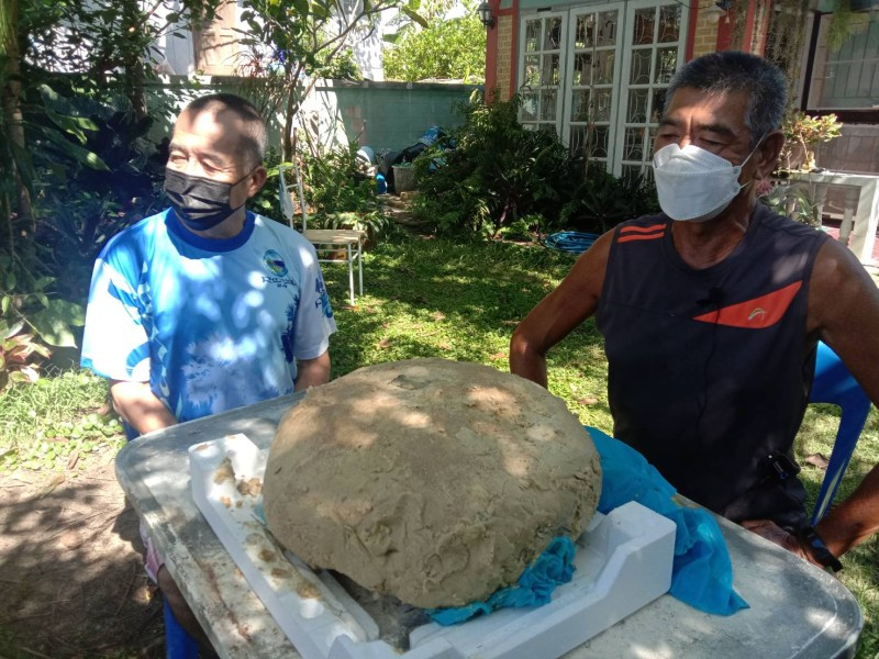 Ban đầu nó ở dạng lỏng, sau đó đông đặc dần và bắt đầu có mùi sau một thời gian dài ngâm rửa dưới biển.