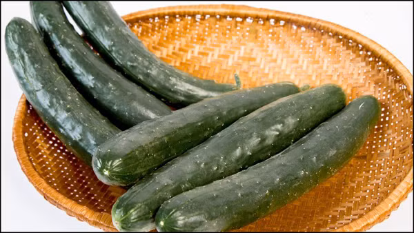 Bạn nên chọn những quả có lớp phấn bảo vệ như thế. Đây là quả non, ít hạt, những quả có cuống, đáy có núm hoa là quả còn tươi ngon, ăn rất giòn, ngọt. Ảnh minh họa.