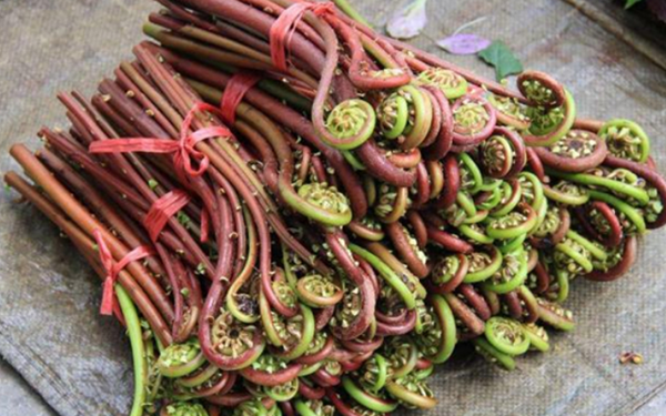 Dương xỉ diều hâu: Dương xỉ diều hâu là loại rau dân dã ở miền nam Trung Quốc. Loại rau này phát triển mạnh vào mùa xuân. Vị giòn dai lạ miệng khiến chúng rất được ưa chuộng.