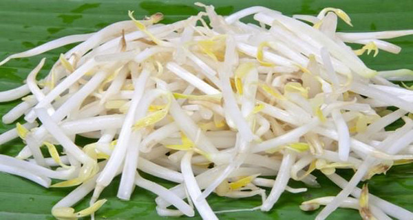 Thường xuyên ăn loại giá đỗ không rễ sẽ khiến gan tích tụ rất nhiều độc tố, đe dọa đến sức khỏe tổng thể. Trường hợp xấu nhất, gan bị tổn thương lâu ngày sẽ tạo điều kiện cho tế bào ung thư phát triển.