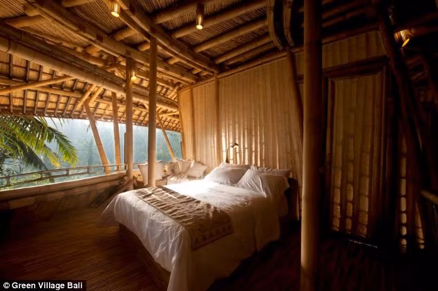 Cây tre. Là một trong những vật liệu bền vững và đa năng nhất và giá cả ổn nhất. Khả năng chịu nước và độ bền của tre là lựa chọn tối ưu cho sàn vì nó không bị ố hoặc hư hỏng nhiều khi tiếp xúc với độ ẩm hoặc ma sát hàng ngày. Ảnh: Doisongphapluat.