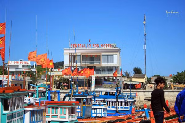 Từ các khách sạn có “sao” đến các nhà nghỉ bình dân; các dịch vụ ẩm thực, dịch vụ xe đưa đón, taxi... hầu như có cả. Giá phòng nghỉ bình dân hiện tại trên đảo Lý Sơn ở mức 200.000 - 500.000 đồng/ đêm tùy theo tiện nghi, diện tích; giá phòng nghỉ hạng sang từ 700.000 - 900.000 đồng/ đêm.