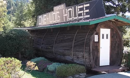 Chủ ngôi nhà cùng một người khác làm việc cật lực trong 8 tháng để làm rỗng thân cây.