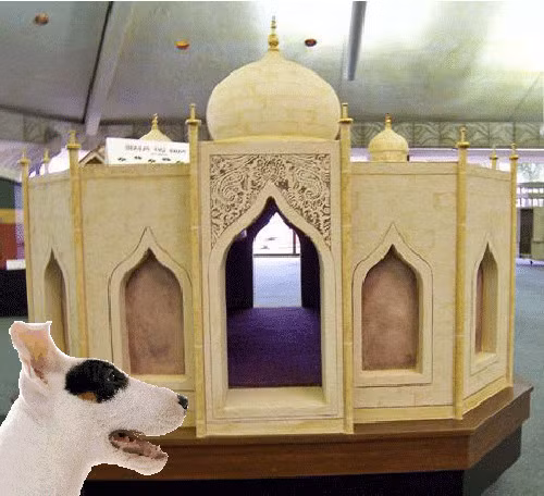 Biệt thự Pawj Mahal. Bản sao của ngôi đền Taj Mahal nổi tiếng, cung điện dành cho thú cưng này có giá 40.000USD xây dựng hoàn chỉnh với nội thất và ngoại thất.