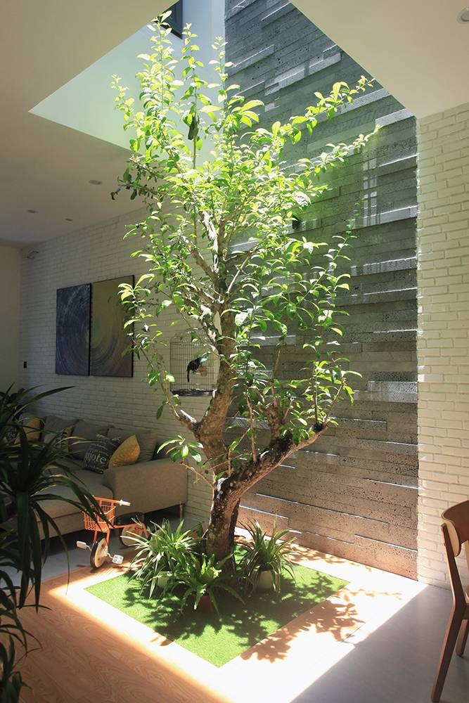 Mẫu sân trong này rất phù hợp với những ngôi nhà có diện tích nhỏ. Ảnh: Happynest.