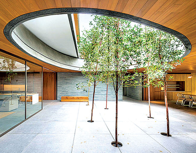 Ngày càng nhiều người quan tâm và thích kiểu thiết kế sân trong lồng ghép thiên nhiên như thế này. Ảnh: Ashui.