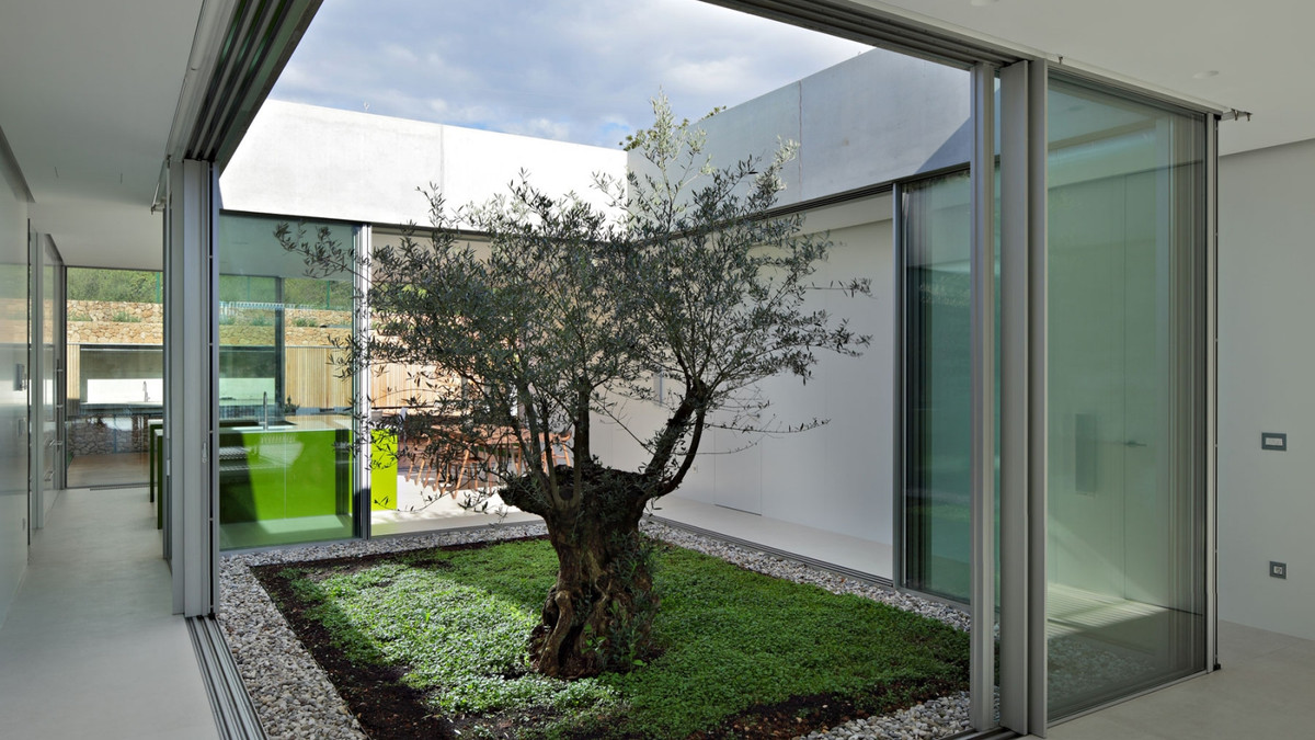 Khoảng sân trong được xem là lá phổi xanh của căn nhà, đóng vai trò quan trọng trong việc làm thông thoáng và làm mát ngôi nhà trong những ngày thời tiết oi bức. Ảnh: Skyhousedesigncentre.