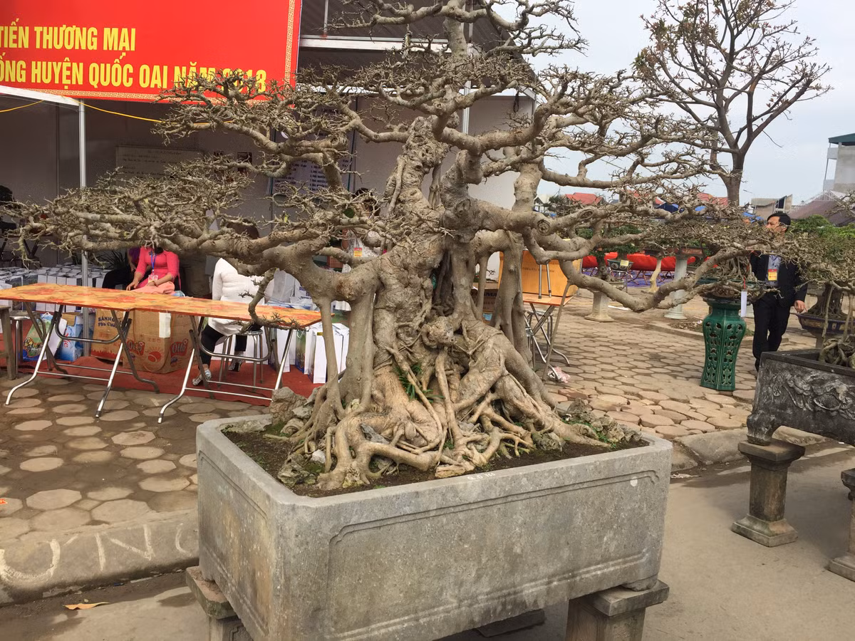 Anh bo ba sanh “hoa thach” gia hang chuc ty moi ban