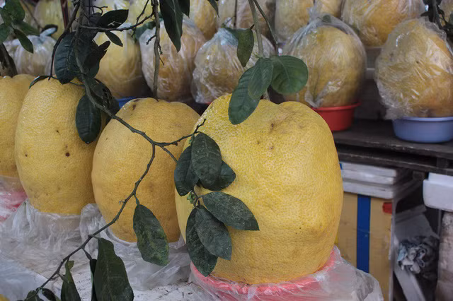 So với bưởi thường, loại bưởi này đắt gấp 10 lần nhưng lúc nào cũng bán chạy hàng. Người mua để đi biếu, người mua vì tò mò xem ngoài trọng lượng khủng từ 6 – 10kg/quả, loại bưởi đặc biệt này có ngon như các loại bưởi khác hay không? Ảnh: Zing.