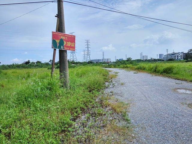 Tuy nhiên, trong suốt 14 năm, dự án khu đô thị này vẫn dậm chân tại chỗ, cỏ dại mọc um tùm. Ảnh: Dân Việt.