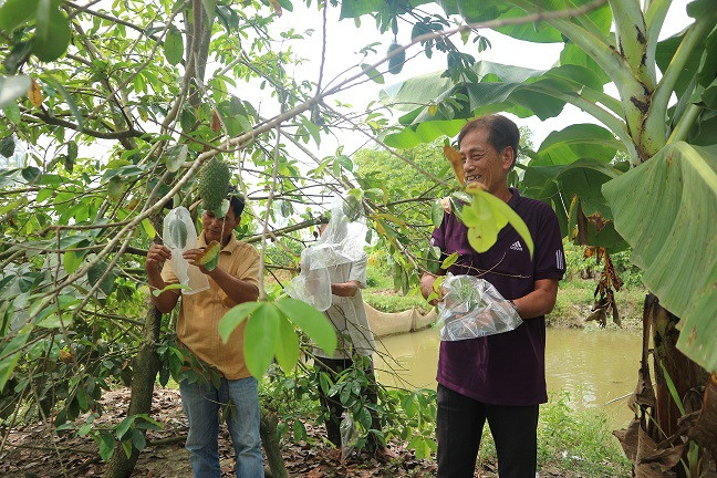 Người nông dân đó chính là ông Võ Văn Phải (ấp Mỹ Phú A, xã Hòa Mỹ, huyện Phụng Hiệp, tỉnh Vĩnh Long. Ảnh: Nongthonviet.