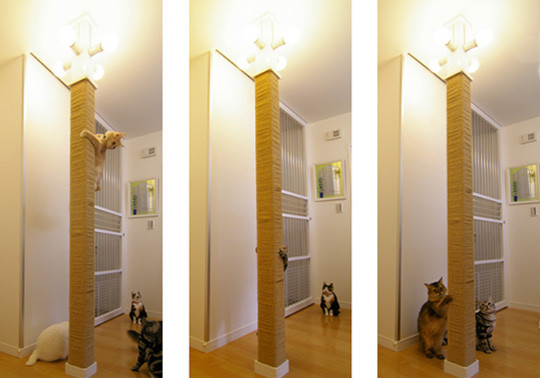 Một mẫu cột nhà vuông đẹp khác bạn có thể tham khảo. Ảnh: epcularsen.