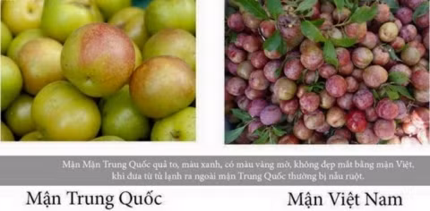 Theo nhiều người có kinh nghiệm, khi chưa thể xác định được loại mận mình mua có chuẩn nguồn gốc hay không nên sau khi mua mận về, mọi người phải rửa sạch mận bằng nước muối. Nên bảo quản trong tủ lạnh ở mức nhiệt 4 độ C, vì như thế sẽ giữ cho mận tươi, ngon. Không để mận ở chỗ nóng, ẩm thấp sẽ làm ảnh hưởng đến chất lượng quả mận.