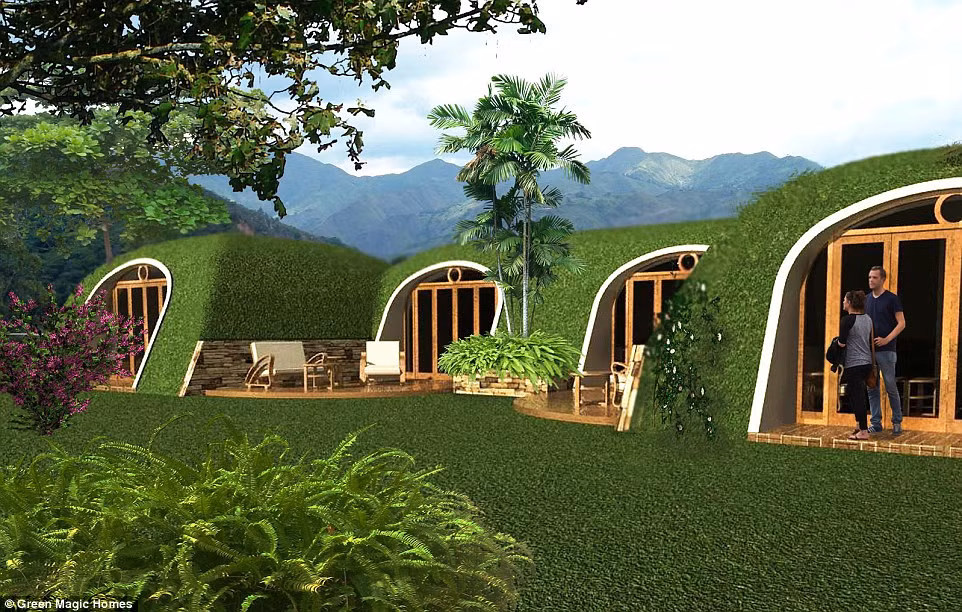 Ngoài các loại rau, hoa, chủ nhà có thể trồng cây bụi có kích thước vừa phải, rễ không bám sâu. Vì thế mà căn nhà này được gọi là nhà xanh thân thiện với môi trường.