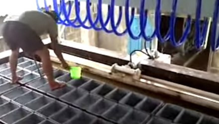 Trong các xưởng làm đá cũng bẩn không kém. Hình ảnh người đàn ông chân đi dép bước lên từng khuôn làm đá khiến nhiều người phát hoảng vì quá phản cảm. Ảnh: ĐS&amp;PL.