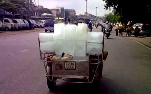 Đá cây ngả vàng không bọc túi, cho trực tiếp lên xe ba gác chở đi bán.