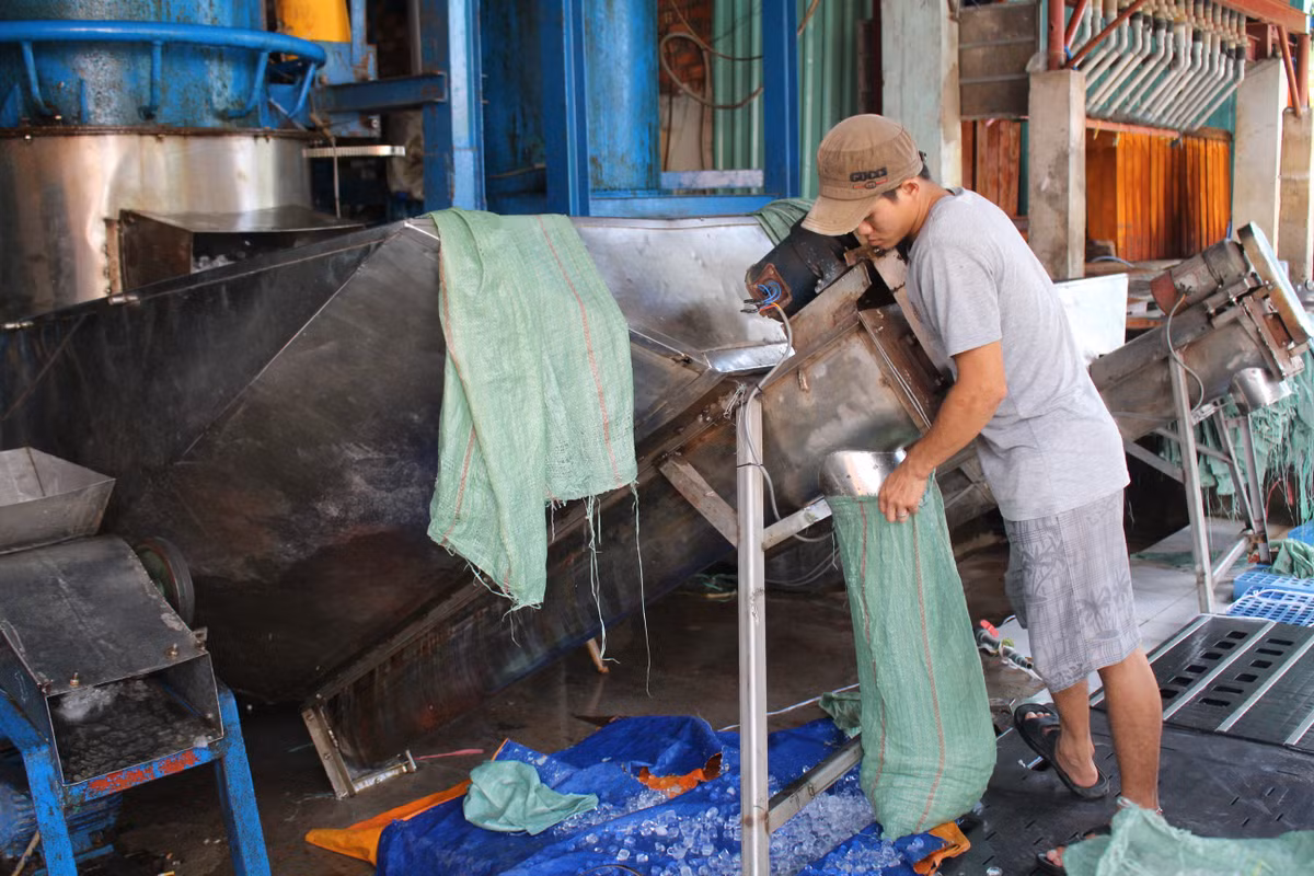 Đá viên được làm từ những dụng vụ hoen gỉ, rong mọc từng lớp dày. Ảnh: VietQ.