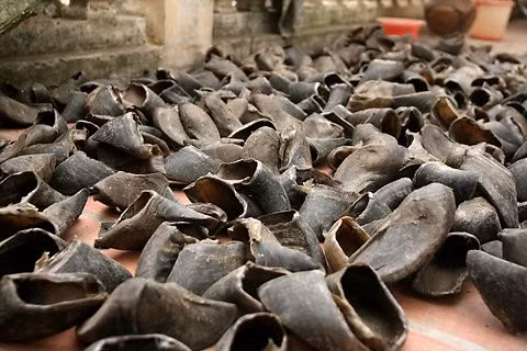 Trước đây, phong trào “giết trâu lấy móng” diễn ra rầm rộ ở nhiều vùng nông thôn Việt Nam, vì lúc bấy giờ giá của bốn cái móng trâu bằng giá... cả một con trâu khi bán cho thương lái Trung Quốc. Chỉ một thời gian rất ngắn, số lượng trâu giảm mạnh, sức kéo của nông dân bị triệt phá nghiêm trọng.