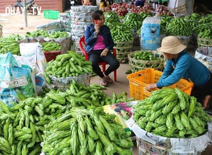 Cuối tháng 6/2014, bông thanh long cũng được thương lái Trung Quốc thu mua với số lượng lớn. Nhiều thương lái Trung Quốc đến nhà vườn tỉnh Trà Vinh để dặt mua bông thanh long. Mức giá thương lái đưa ra để thu mua là 4.000 đồng/kg.