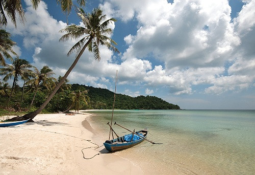 Biet mua gi, an gi bay gio ?-Hinh-3