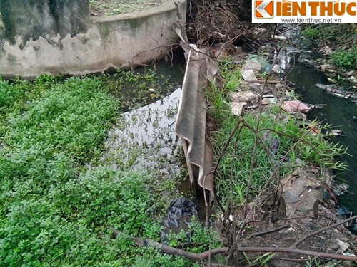 Người dân tận dụng những khoảng đất trống ngay dưới chân ngôi mộ để trồng rau cải xoong, bên cạnh đó là môt mương nước rất ô nhiễm.