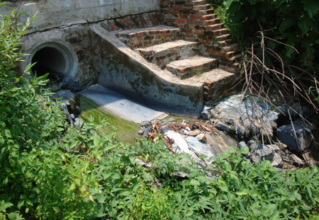 Thậm chí rau khoai lang được trồng ngay cống thoát nước siêu bẩn.