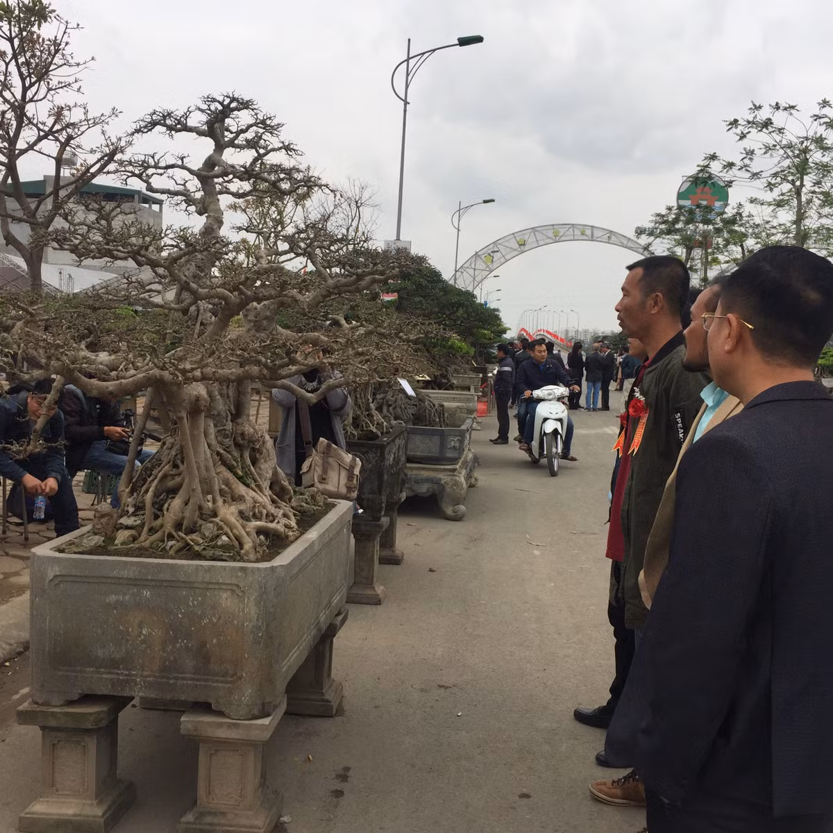 Triển lãm SVC huyện Quốc Oai năm 2018 đang diễn ra rất sôi động và thu hút hàng nghìn lượt người đến tham dự bởi ở đây quy tụ rất nhiều tuyệt tác cây cảnh thế khủng đẹp bất ngờ. Với hình dáng độc lạ, tuổi thọ có thể lên đến hàng trăm năm... nhiều cây cảnh giá khủng được giới mê cây cảnh săn mua và không ngớt lời trầm trồ khen ngợi.