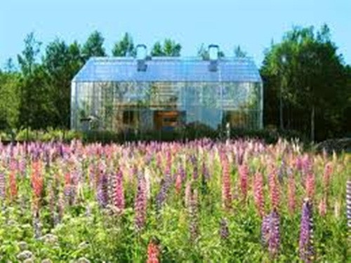 Gia chủ trồng đủ các loại quả, từ cà chua, dưa chuột, sung, nho và các loại thảo mộc. Bên ngoài ngôi nhà được phủ đầy cây dầu hạt lanh để cản mưa gió.