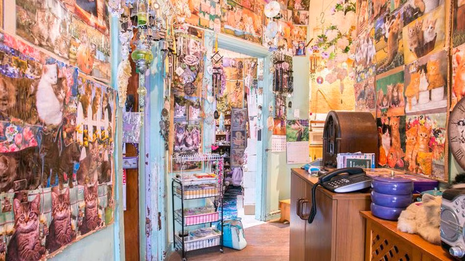 Nhà cũng có một khuôn viên vườn với một khoảng sân và khoảng diện tích để đỗ xe ô tô.