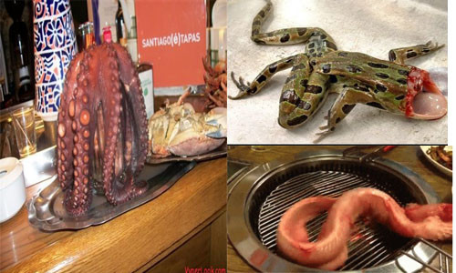 Không chỉ bất ngờ về hiện trượng cá còn sống khi đã qua giết mổ, hình ảnh những món ăn khác từ ếch, bạch tuộc… sau khi bị cắt bỏ đầu nhưng vẫn sống khỏe cũng không xa lạ gì với người xem.