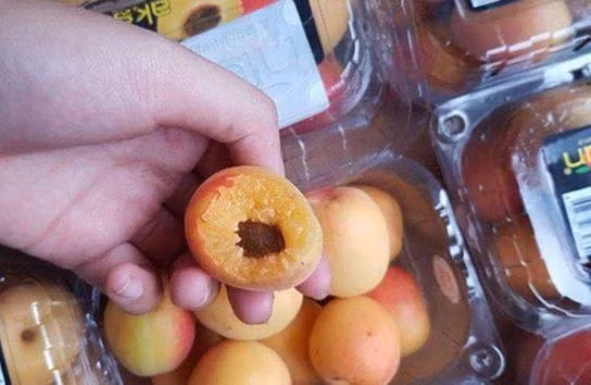 Khác với vị chua thanh của mơ Việt, mơ Thổ Nhĩ Kỳ có vị ngọt lịm nơi đầu lưỡi khi ăn, ăn càng gần đến chóp quả thì sẽ thấy vị thanh mát nhẹ rất phù hợp để giải nhiệt ngày hè.