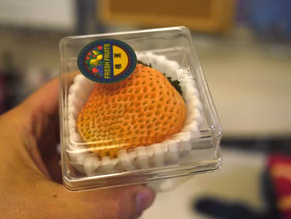 Dâu tây có vị đào là một trong những loại quả lai độc lạ nhất từng thấy khiến nhiều người bất ngờ. Loại dâu tây lai này có tên Toukun Ichigo, xuất xứ Nhật Bản. Ảnh: Foody.