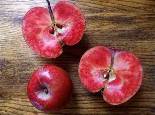 Giống táo ruột đỏ đắt giá được nhà vườn Thụy Sĩ Markus Kobelt bỏ ra 20 năm nghiên cứu tạo ra, chứ không phải là loại quả biến đổi gien. Ảnh: Alamy.