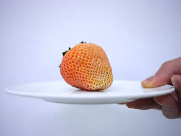 Dâu tây vị đào ngoài khác lạ về mùi vị, màu sắc bên ngoài hay ruột màu trắng bên trong quả cũng sự khác biệt đáng kể so với những loại dâu tây thông thường. Ảnh: Foody.