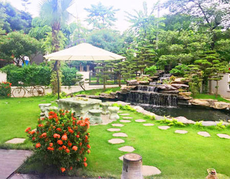 Một điểm cần lưu ý khi thiết kế sân vườn đó chính là phải bảo đảm đủ ánh sáng, có như vậy thì cây trồng mới phát triển xanh tốt được. Ảnh: Hoanvuad.