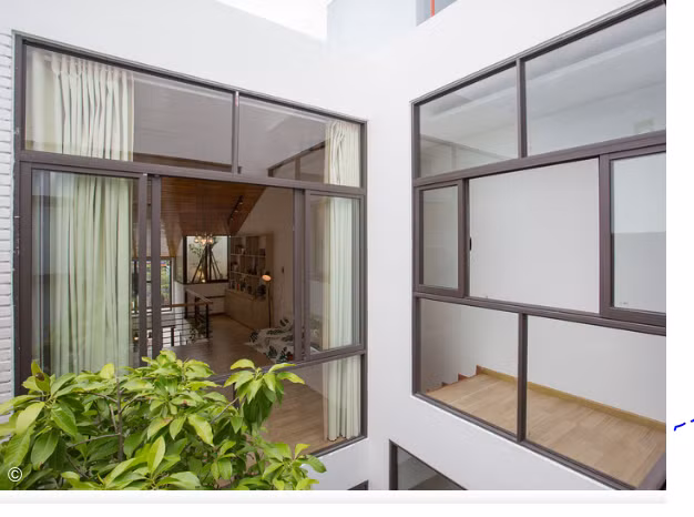 Ngam nha ong tran ngap cay xanh o Da Nang khien dan tinh 