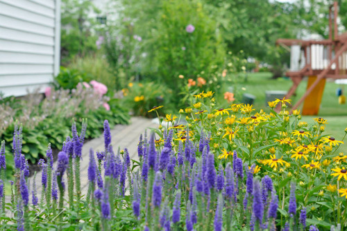 Khu vườn nhà chị không chỉ tràn ngập sắc hoa mà còn có một ao cá, hồ sen nhỏ và mái hiên để ngồi nhâm nhi tách trà, thưởng ngoạn cảnh xuân.