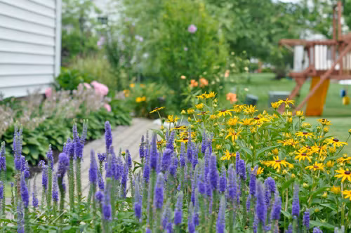 Khu vườn nhà chị không chỉ tràn ngập sắc hoa mà còn có một ao cá, hồ sen nhỏ và mái hiên để ngồi nhâm nhi tách trà, thưởng ngoạn cảnh xuân.