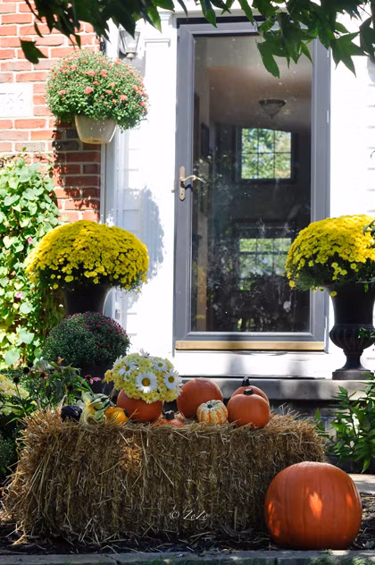 Không chỉ tô tỉnh trồng vườn, chị Hoài còn khéo léo và thẩm mỹ khi bày biện những lọ hoa nhỏ ở khắp trên lối đi, ghế ngồi hay bàn trà.